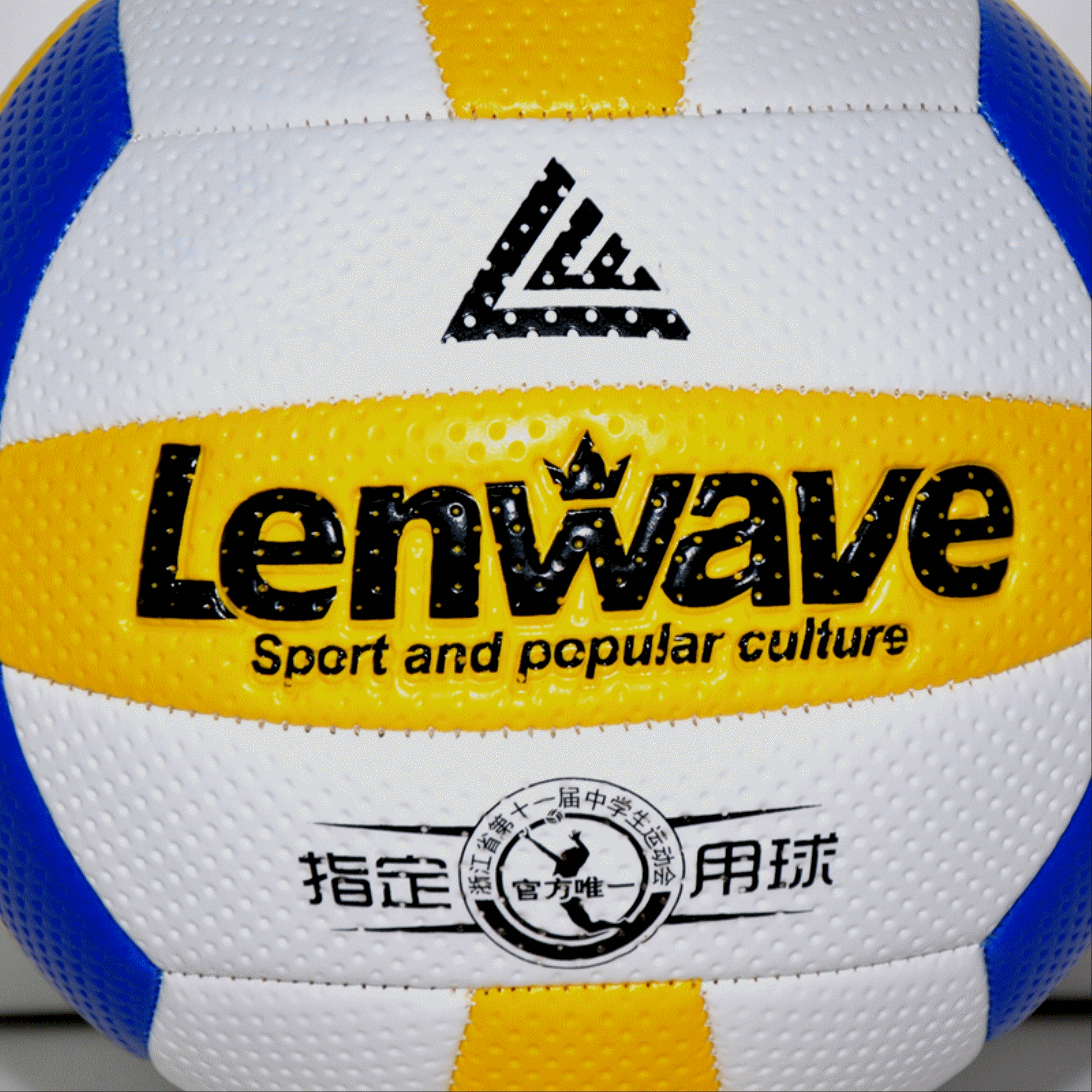 Ballon de volley-ball - Ref 2013367