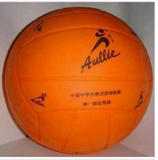 Ballon de volley-ball - Ref 2013462