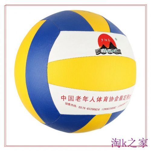Ballon de volley-ball - Ref 2013493