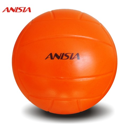Ballon de volley-ball ANISIA - Ref 2013579