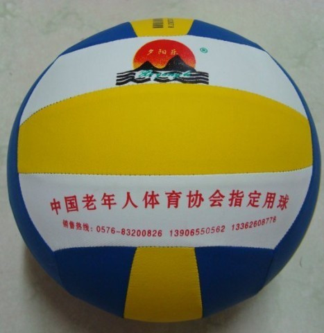 Ballon de volley-ball - Ref 2013627