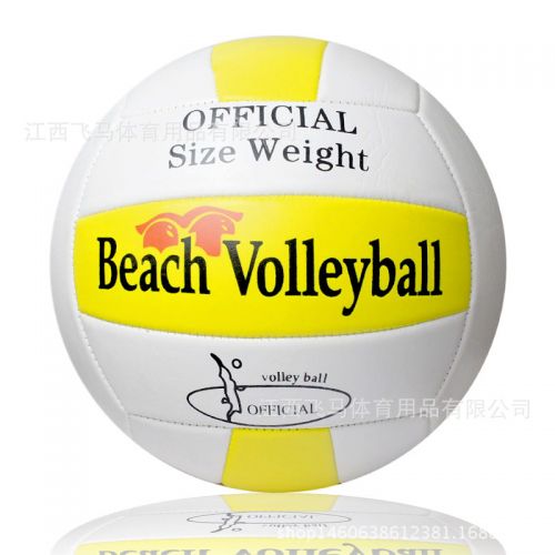 Ballon de volley-ball FEIMA - Ref 2013683