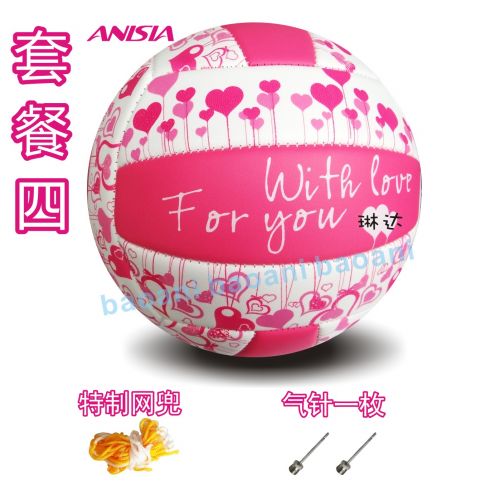 Ballon de volley-ball ANISIA - Ref 2013709