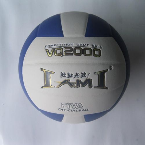 Ballon de volley-ball IAMI - Ref 2013758
