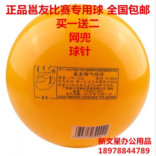 Ballon de volley-ball - Ref 2013761