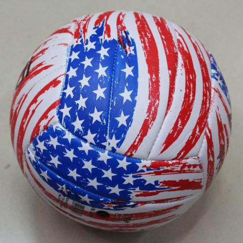 Ballon de volley-ball MAIDI - Ref 2013823