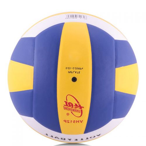 Ballon de volley-ball DOUBLE FISH - Ref 2014399