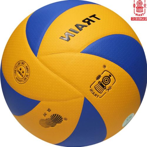 Ballon de volley-ball TRAIN - Ref 2014534