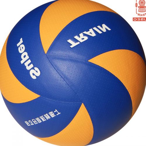 Ballon de volley-ball TRAIN - Ref 2014587