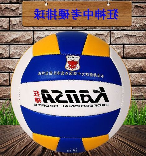 Ballon de volley-ball - Ref 2014596