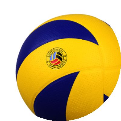 Ballon de volley-ball - Ref 2014650