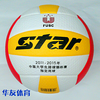 Ballon de volley-ball STAR - Ref 2014792