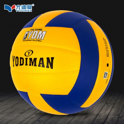 Ballon de volley ball 2014798