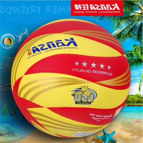 Ballon de volley-ball - Ref 2014827