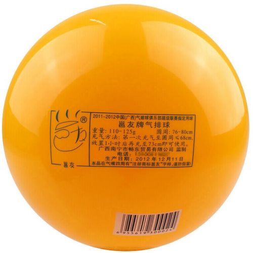 Ballon de volley-ball - Ref 2014904