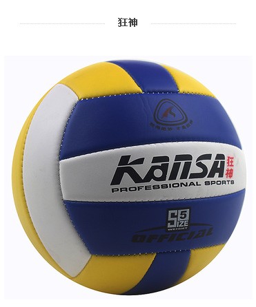 Ballon de volley-ball - Ref 2014925