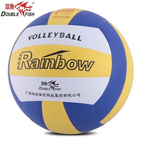 Ballon de volley-ball DOUBLE FISH - Ref 2015016