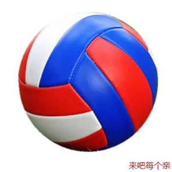Ballon de volley-ball - Ref 2015037