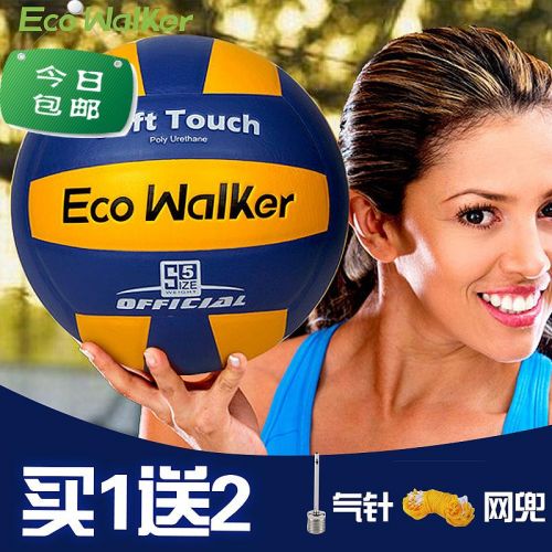 Ballon de volley-ball ECO WALKER - Ref 2015106