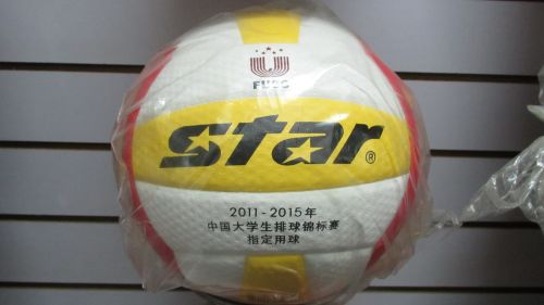 Ballon de volley-ball STAR - Ref 2015130