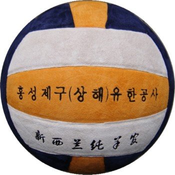 Ballon de volley-ball - Ref 2015168