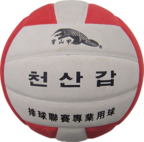 Ballon de volley-ball - Ref 2015231