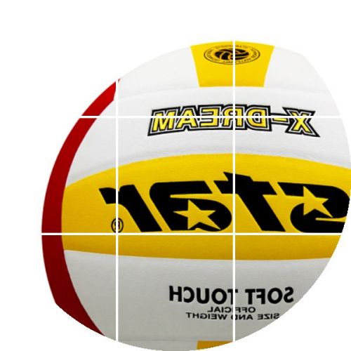 Ballon de volley-ball STAR - Ref 2015417