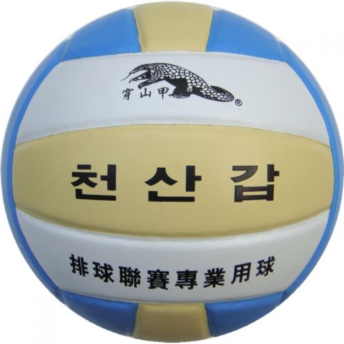 Ballon de volley-ball - Ref 2015465