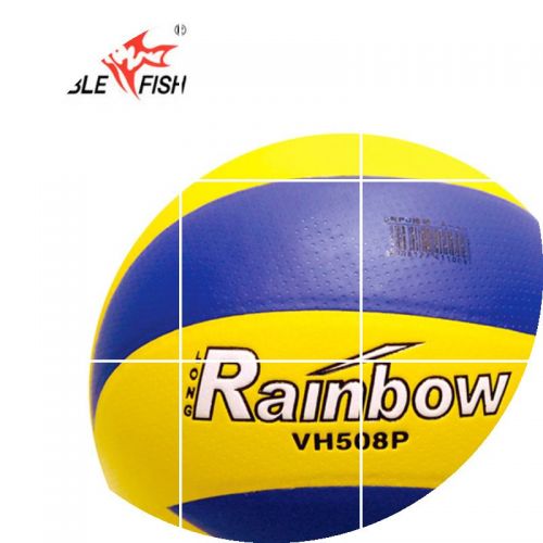 Ballon de volley-ball DOUBLE FISH - Ref 2015512
