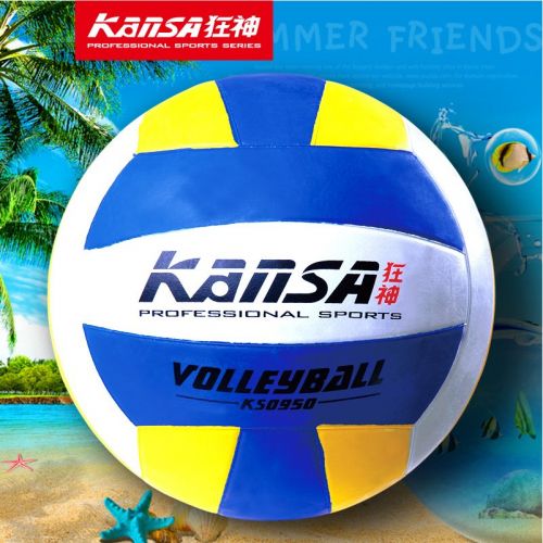 Ballon de volley-ball - Ref 2015521