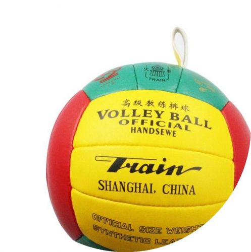 Ballon de volley-ball TRAIN - Ref 2015709