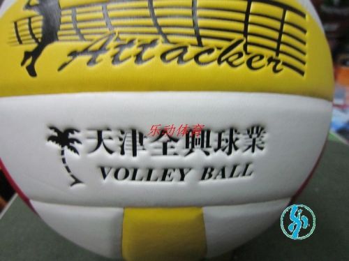 Ballon de volley-ball - Ref 2015710