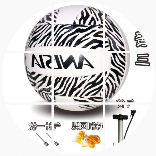 Ballon de volley-ball ANISIA - Ref 2015723