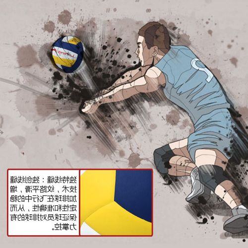 Ballon de volley-ball LINING - Ref 2015797
