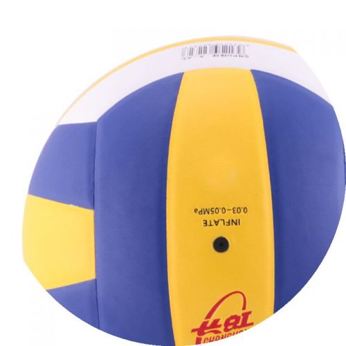 Ballon de volley-ball DOUBLE FISH - Ref 2015816