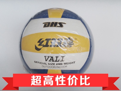 Ballon de volley-ball - Ref 2015818