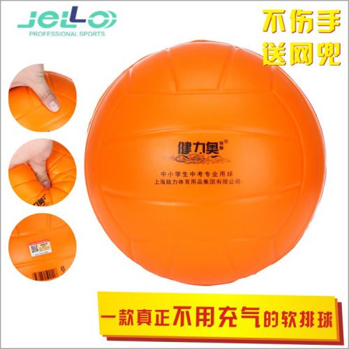 Ballon de volley-ball - Ref 2015873
