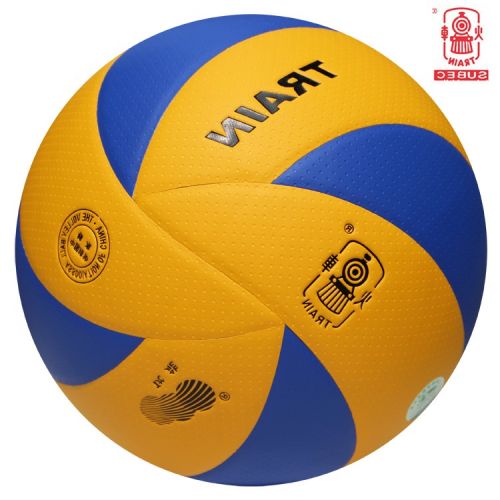 Ballon de volley-ball TRAIN - Ref 2015903