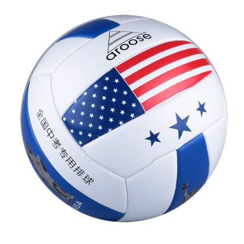 Ballon de volley-ball - Ref 2016027