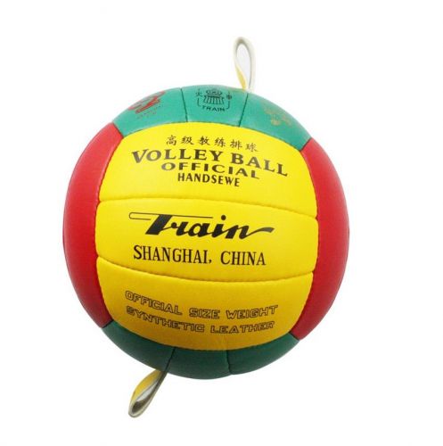 Ballon de volley-ball TRAIN - Ref 2016043