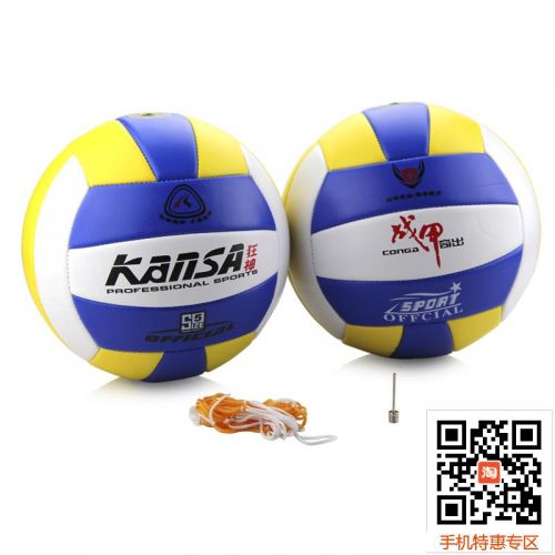 Ballon de volley-ball - Ref 2016085
