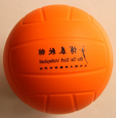 Ballon de volley-ball - Ref 2016125