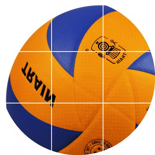 Ballon de volley ball 2016151