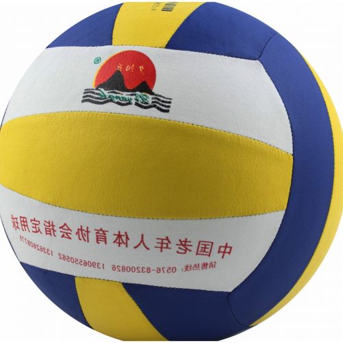 Ballon de volley-ball - Ref 2016155
