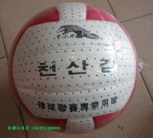 Ballon de volley-ball - Ref 2016213