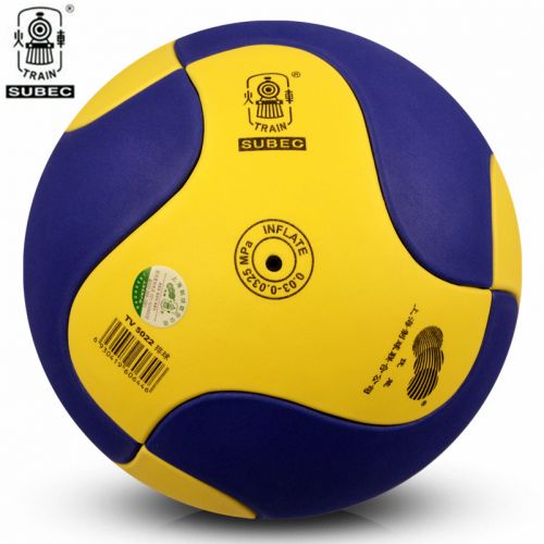 Ballon de volley-ball TRAIN - Ref 2016274