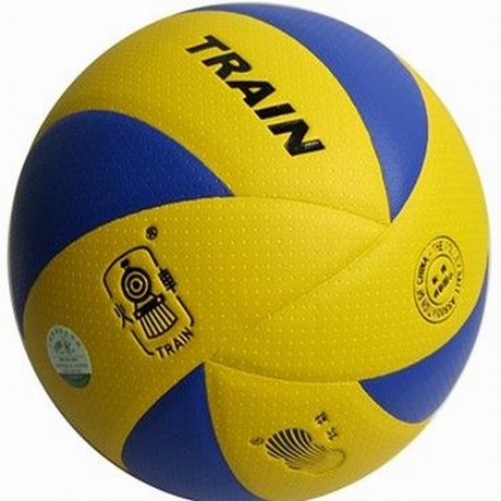 Ballon de volley-ball - Ref 2016351