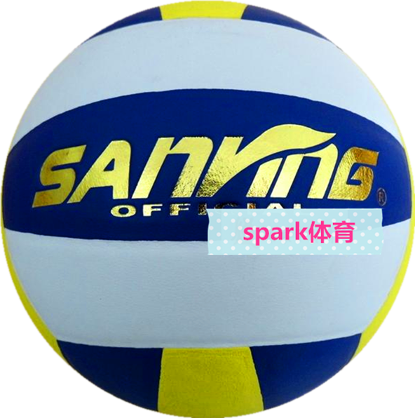 Ballon de volley-ball - Ref 2016373