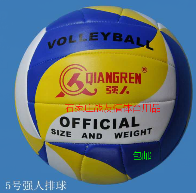 Ballon de volley-ball - Ref 2016412