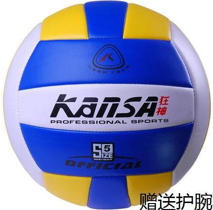Ballon de volley-ball - Ref 2016420